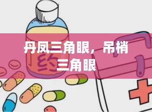 丹凤三角眼，吊梢三角眼