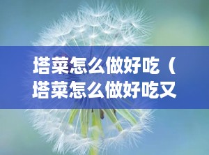 塔菜怎么做好吃（塔菜怎么做好吃又简单）