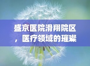 盛京医院滑翔院区，医疗领域的璀璨明珠（盛京医院滑翔院区电话）