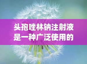 头孢唑林钠注射液是一种广泛使用的抗生素药物，属于第一代头孢菌素类抗生素。它具有广谱抗菌作用，对革兰氏阳性菌和革兰氏阴性菌都有一定的抗菌活性。头孢唑林钠注射液的主要适应症包括呼吸道感染、泌尿系统感染、皮肤软组织感染等多种感染性疾病。（头孢唑林钠注射功效与作用）