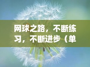 网球之路，不断练习，不断进步（单人网球训练器）