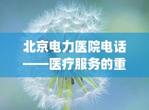 北京电力医院电话——医疗服务的重要桥梁（北京电力医院电话咨询24小时）