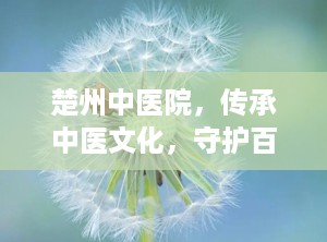 楚州中医院，传承中医文化，守护百姓健康（楚州中医院是几级医院）