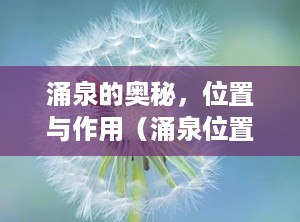 涌泉的奥秘，位置与作用（涌泉位置图和作用的准确位置图）