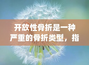 开放性骨折是一种严重的骨折类型，指的是骨折部位的皮肤或黏膜破裂，使骨折断端与外界环境直接接触。这种骨折情况增加了感染的风险，并可能对骨折的愈合和恢复过程产生不利影响。（什么是开放性骨折和闭合性骨折）