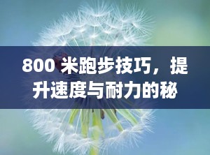 800 米跑步技巧，提升速度与耐力的秘诀（800米跑步技巧女生）