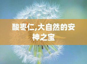 酸枣仁,大自然的安神之宝