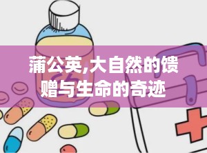 蒲公英,大自然的馈赠与生命的奇迹