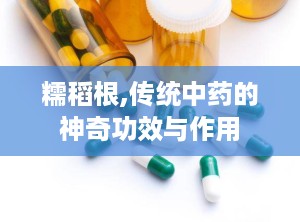 糯稻根,传统中药的神奇功效与作用