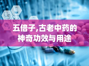 五倍子,古老中药的神奇功效与用途