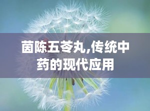 茵陈五苓丸,传统中药的现代应用