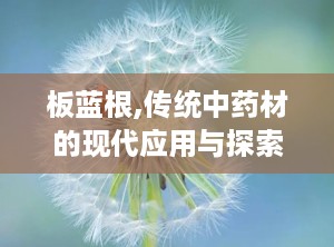 板蓝根,传统中药材的现代应用与探索