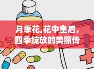 月季花,花中皇后，四季绽放的美丽传奇