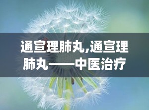 通宣理肺丸,通宣理肺丸——中医治疗风寒感冒咳嗽的良药