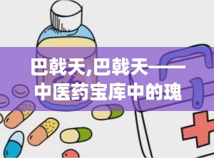 巴戟天,巴戟天——中医药宝库中的瑰宝