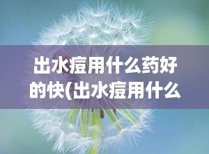 出水痘用什么药好的快(出水痘用什么药比较好)