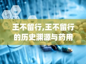 王不留行,王不留行的历史渊源与药用价值