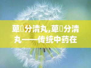 萆薢分清丸,萆薢分清丸——传统中药在现代生活中的应用