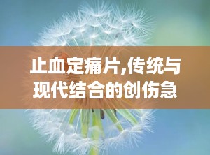 止血定痛片,传统与现代结合的创伤急救良药