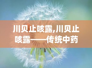 川贝止咳露,川贝止咳露——传统中药与现代科技的结晶