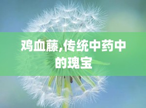 鸡血藤,传统中药中的瑰宝