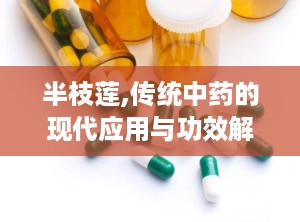 半枝莲,传统中药的现代应用与功效解析