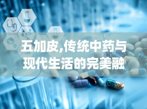 五加皮,传统中药与现代生活的完美融合