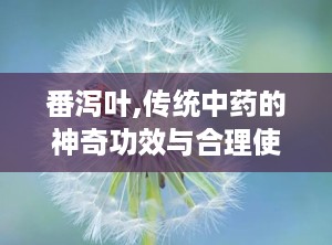 番泻叶,传统中药的神奇功效与合理使用指南