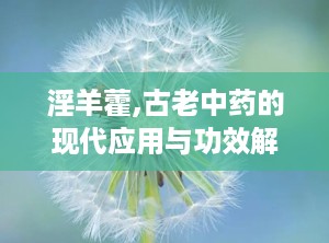 淫羊藿,古老中药的现代应用与功效解析