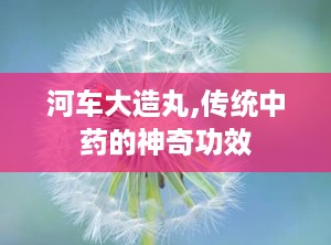 河车大造丸,传统中药的神奇功效