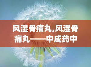 风湿骨痛丸,风湿骨痛丸——中成药中的祛风湿良药