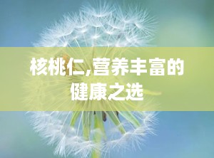 核桃仁,营养丰富的健康之选