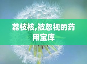 荔枝核,被忽视的药用宝库