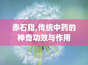 赤石脂,传统中药的神奇功效与作用