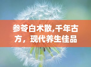 参苓白术散,千年古方，现代养生佳品