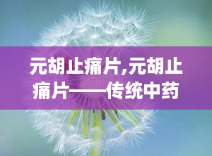 元胡止痛片,元胡止痛片——传统中药与现代科技的完美结合