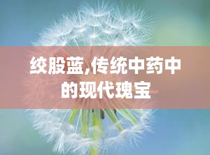 绞股蓝,传统中药中的现代瑰宝