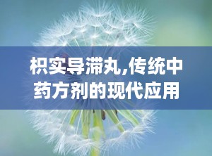 枳实导滞丸,传统中药方剂的现代应用