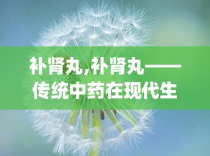 补肾丸,补肾丸——传统中药在现代生活中的应用与功效