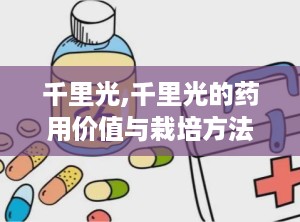 千里光,千里光的药用价值与栽培方法