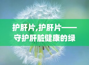 护肝片,护肝片——守护肝脏健康的绿色守护神