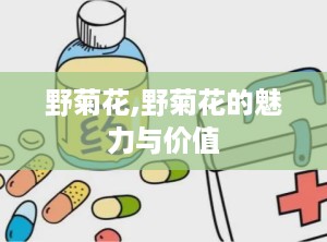 野菊花,野菊花的魅力与价值