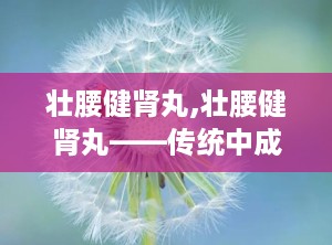 壮腰健肾丸,壮腰健肾丸——传统中成药，助力健康生活