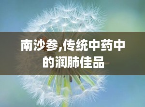 南沙参,传统中药中的润肺佳品