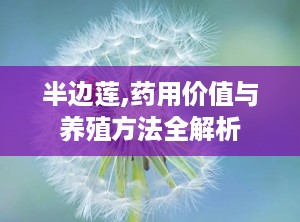 半边莲,药用价值与养殖方法全解析