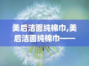 美后洁面纯棉巾,美后洁面纯棉巾——肌肤护理的贴心伴侣