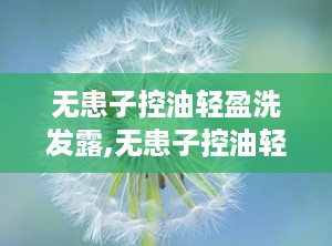 无患子控油轻盈洗发露,无患子控油轻盈洗发露——夏日清爽新选择