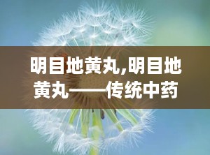 明目地黄丸,明目地黄丸——传统中药与现代视力的守护者