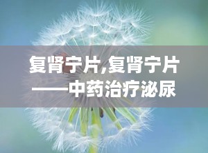 复肾宁片,复肾宁片——中药治疗泌尿系统疾病的良方