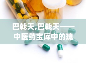 巴戟天,巴戟天——中医药宝库中的瑰宝